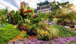 洛阳植物园爆料视频最新,探秘植物王国，邂逅自然奇观