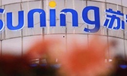 苏宁的最新爆料,揭秘苏宁易购神秘新项目，引领行业变革！